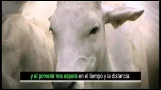 HIMNO AL COOPERATIVISMO COODECO