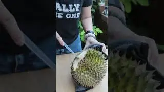 Peel durian in one minute