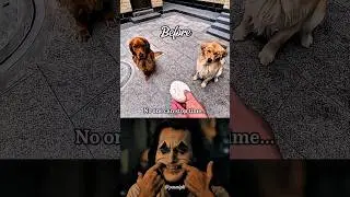 They Used to Play Together | Emotional Pet Loss Story #dog #shortvideo #viral