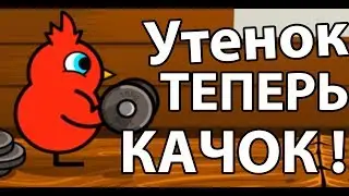 Утенок теперь качок ! ( Duck Life: Battle )