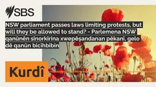 NSW parliament passes laws limiting protests, but will they be allowed to stand? - Parlemena NSW...