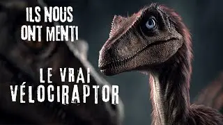 Le V&eacute;lociraptor des films est faux&hellip; la v&eacute;rit&eacute; scientifique est bien plus terrifiante