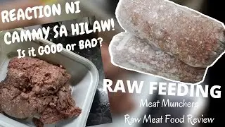 Raw Meat Feeding Vlog#3 | Raw Dog Food Review | Meat Munchers