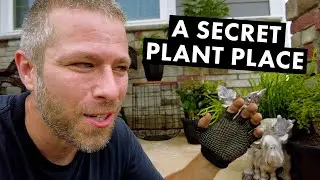 Surprising you with a new plant place + mini plant tour!