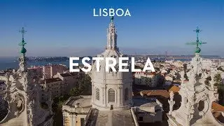 Guia de Destino/Mercado: Estrela, Lisboa
