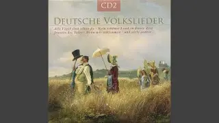 Es stehen drei Birken auf der Heide