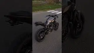 Best MT07 Build Ever?