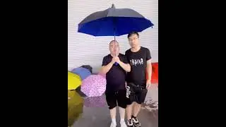 Waterproof Umbrella - Double Layer Windproof Umbrella | Shorts