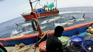 INSANE Fishing Haul 😱 Monster Trevally Caught All at Once! The Harvest of the Deep ‪@KadalTv‬