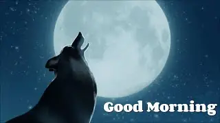 Good Morning [CHINESE ANIMATION]