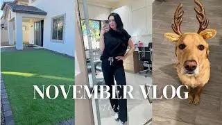 NOVEMBER VLOG: new backyard, current skincare routine, & a few hauls!