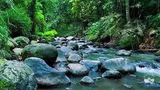 Deep Forest River at Midnight | Gentle Flowing Water Sounds to Calm the Mind