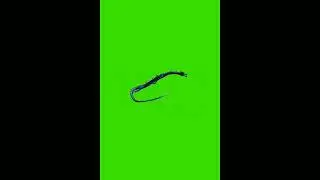 Best dragon effect Green screen || Zaj ntaub ntsuab #11