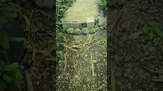 Garden Jobs 2 - The Terraced Effect - Creative Garden