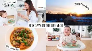 VLOG | Healthy Sleep Habits, Slow Cooker Beef Stew & Baby Starts Solids | Annie Jaffrey