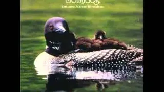 Dan Gibson's Solitude ~ Loon Echo Lake 1