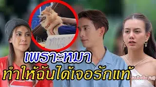 เพราะเจ้าตูบทำให้เราได้พบกัน (ละครสั้น) - DS หนังสั้น