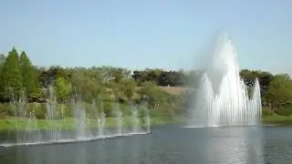 WB1000 Quality TEST