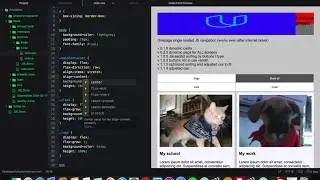 [NormalTimelapse] Messy CSS fixed while playing with FlexBox