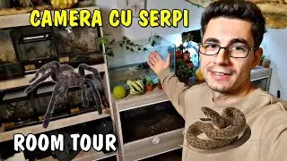 Turul camerei cu Șerpi după foarte mult timp🐍🪳🦂Ce animale exotice mai am?