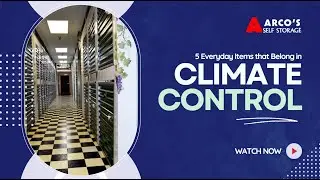 Not Just for Fancy Stuff: 5 Everyday Items That Belong in Climate Control | Arco's Self Storage