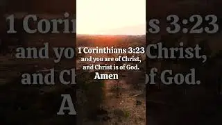 Rooted in Christ ✝️ #shorts #short #youtubeshorts #jesus #viral #trending
