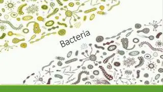 Bacteria, Viruses, and Fungi Oh My!