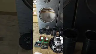 Vintage Speaker Making Driver Details #diptielectronics #speakershopping #sweton #doogesound