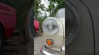 vw classics meeting bulo 31 08 2025 #shorts #baywindowsbus #vw #oldies #oldtimers