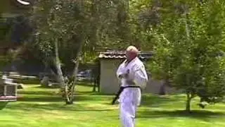 The Art and Science of Shotokan Karte Volume 1