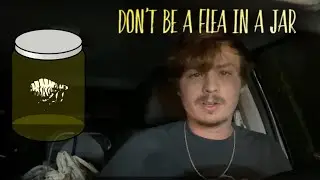 The Invisible Limits Holding You Back (The Fleas in a Jar Experiment)