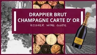 Drappier Brut Champagne Carte D' Or | Kosher Wine Guide