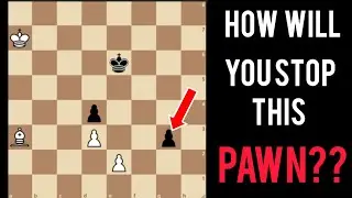 This is one of the most amazing chess puzzles I have ever seen!!!!