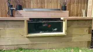 sleeper pond with glass window #ponds #sleepers