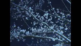 ☆free for profit☆ sad ambient lil peep type beat 