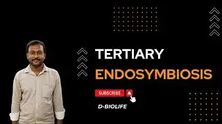 Tertiary Endosymbiosis | Chloroplast Evolution | Science