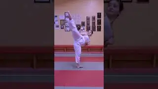 Karate Kick Combo #shorts #martialarts #karate
