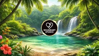 Still Waters & Open Fields 🌿 | 90-Minute Tropical Chill Loop