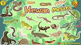 Mengenal Nama Nama Hewan Melata - Belajar Mengenal Hewan untuk Anak Usia Dini