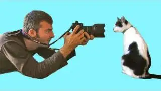 MEAN KITTY - How To Film Your Pets