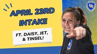 April 23rd Intake TRANSFORMATION | Epic Dog Academy