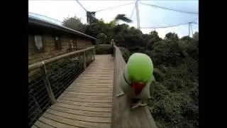 Birds of Eden July 2014