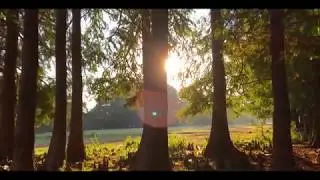 El Kala National Park, Algeria 🇩🇿😍 اكتشف روعة و جمال طبيعة محمية القالة لؤلؤة الشرق ولاية الطارف