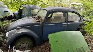 RUST IN PEACE: 150+ CLASSIC CARS LEFT TO DECAY IN THE WOODS *CAR GRAVEYARD*