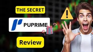 Обзор PU Prime: шокирующая правда, которую брокеры не хотят, чтобы вы знали