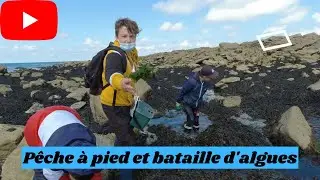 Pêche à pied et bataille d'algues S1 Ep9