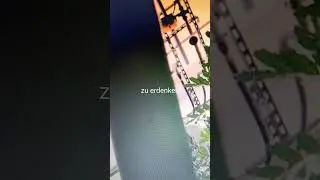 verstehen  neue Lebensform erdenken
