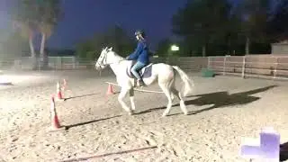 Amanda & Luna Walk/Trot Classic Maneuvers