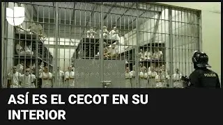 Univision entra a la megacárcel de Bukele: celdas de presos sin colchonetas ni cobijas