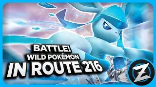 Battle! Wild Pok&eacute;mon in Route 216: Remix ► Pok&eacute;mon Diamond & Pearl